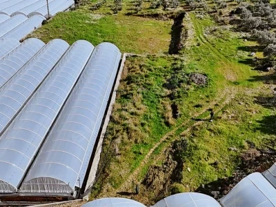 Muğla Fethiye Bozyer Mahallesi Satılık iMARLI Arsa